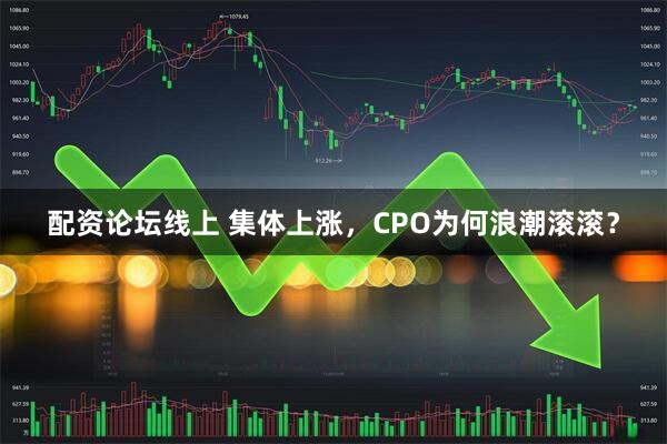 配资论坛线上 集体上涨，CPO为何浪潮滚滚？